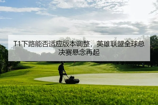 xia-lu-neng-fou-shi-ying-ban-ben-tiao-zheng-ying-xiong-lian-meng-quan-qiu-zong-jue-sai-xuan-nian-zai-qi-2-582.jpg