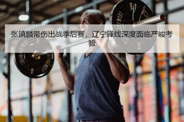 张镇麟带伤出战季后赛，辽宁锋线深度面临严峻考验